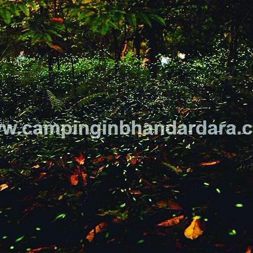Hotel Samadhan 班达尔达拉 外观 照片